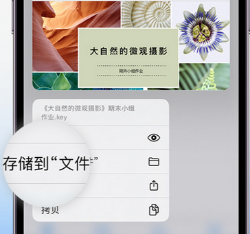 泉州apple维修中心分享iPhone文件应用中存储和找到下载文件