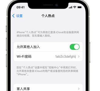 泉州apple服务站点分享iPhone上个人热点丢失了怎么办 