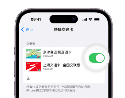 泉州apple维修点分享iPhone上更换Apple Pay快捷交通卡手绘卡面 