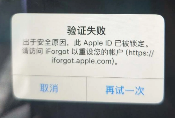 泉州iPhone维修分享iPhone上正常登录或使用AppleID怎么办 