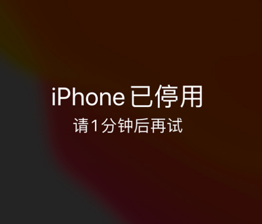 泉州苹果手机维修分享:iPhone 显示“不可用”或“已停用”怎么办？还能保留数据吗？ 