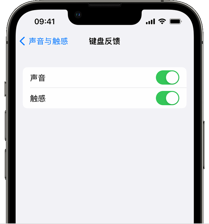 泉州苹果14维修店分享如何在 iPhone 14 机型中使用触感键盘 