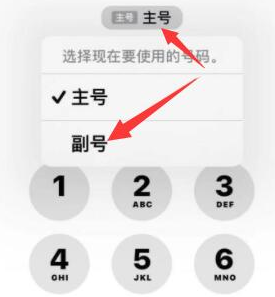 泉州苹果14维修店分享iPhone 14 Pro Max使用副卡打电话的方法 