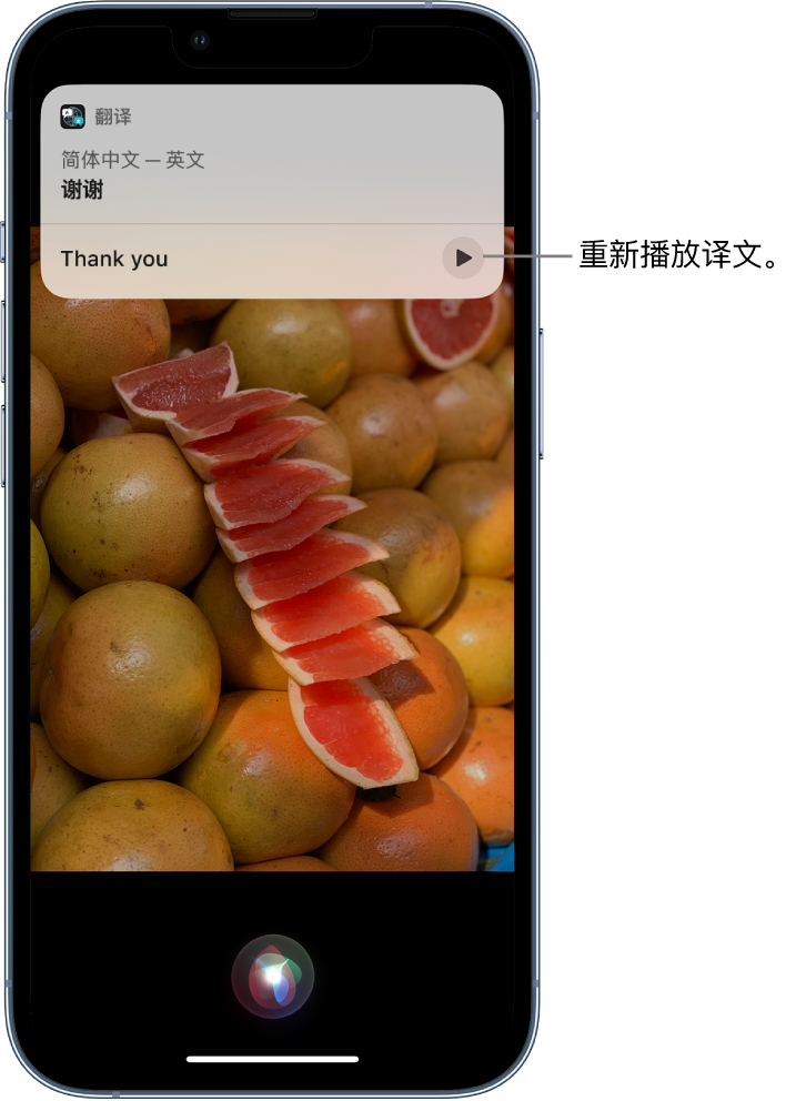 泉州苹果14维修分享 iPhone 14 机型中使用 Siri：了解 Siri 能帮你做什么 