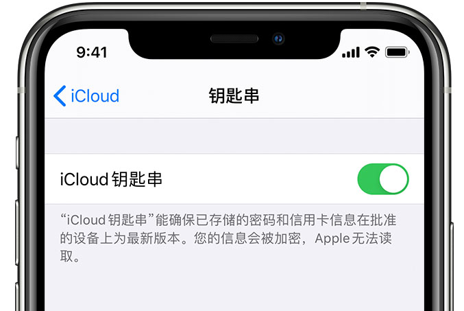 泉州苹果手机维修分享在 iPhone 上开启 iCloud 钥匙串之后会储存哪些信息 