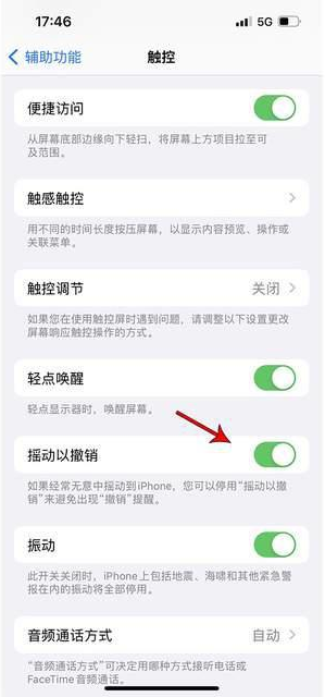 泉州苹果手机维修分享iPhone手机如何设置摇一摇删除文字 