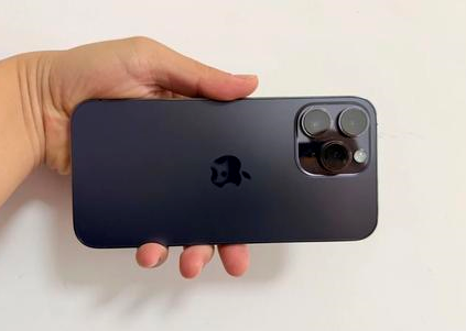 泉州苹果维修点分享iPhone 14 Pro Max黑屏少见故障盘点 